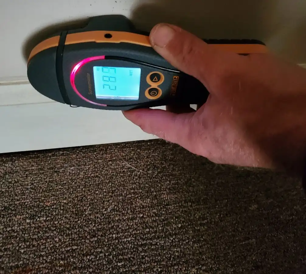 Moisture detection at baseboard during Sewage Cleanup & Sanitation in Lyndhurst